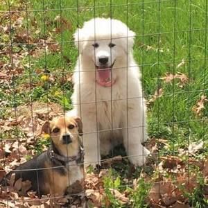 Meet your Posher, Cheryl